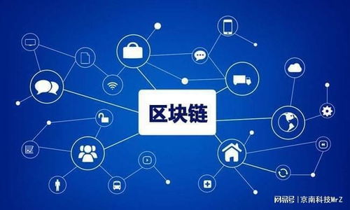 軟件開發(fā) 從入門到精通的基礎軟件服務